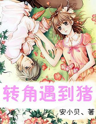 创作猫